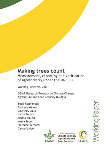 Making trees count: Measurement, reporting and verification of agroforestry under the UNFCCC