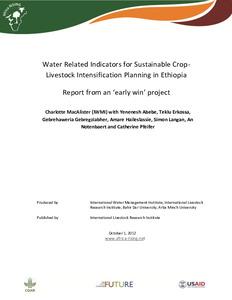 Water related indicators for sustainable crop-livestock intensification planning in Ethiopia: Report from an 'early win' project