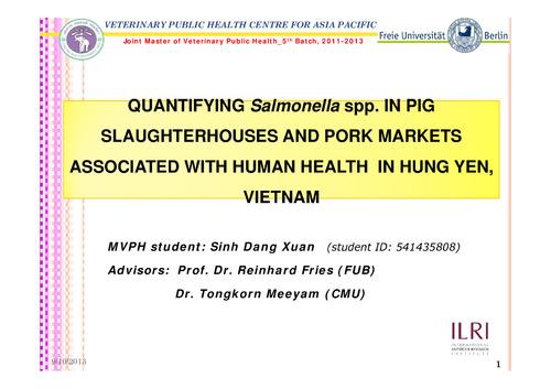 Quantifying Salmonella spp. in pig slaughterhouses and pork markets associated with human health in Hung Yen, Vietnam