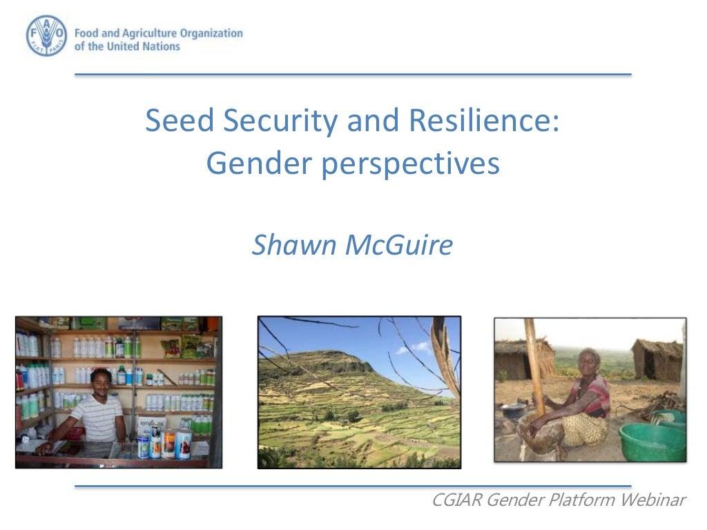 Seed security and resilience: Gender perspectives