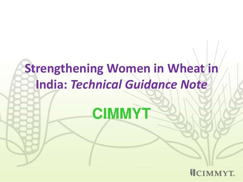 Strengthening women in wheat in India: Technical Guidance Note