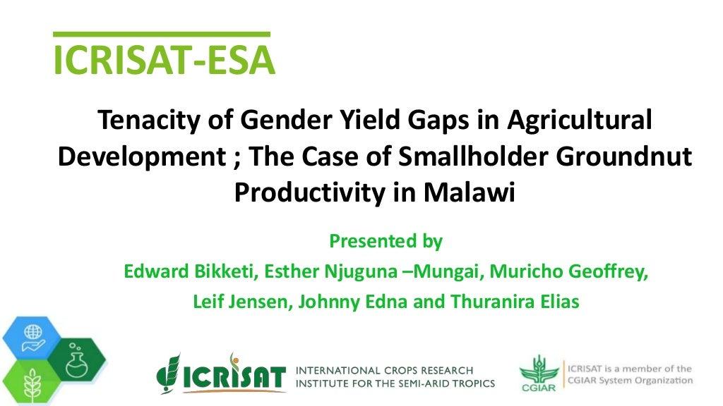 Tenacity of gender yield gaps in agricultural development: the case of smallholder groundnut productivity in Malawi