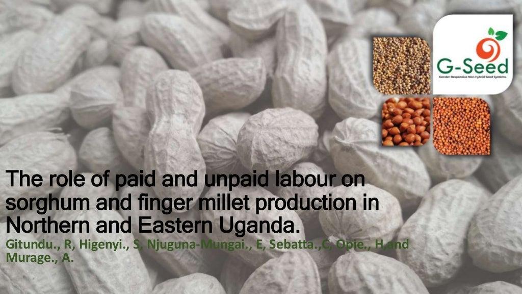 The role of paid and unpaid labour on sorghum and finger millet production in Northern and Eastern Uganda
