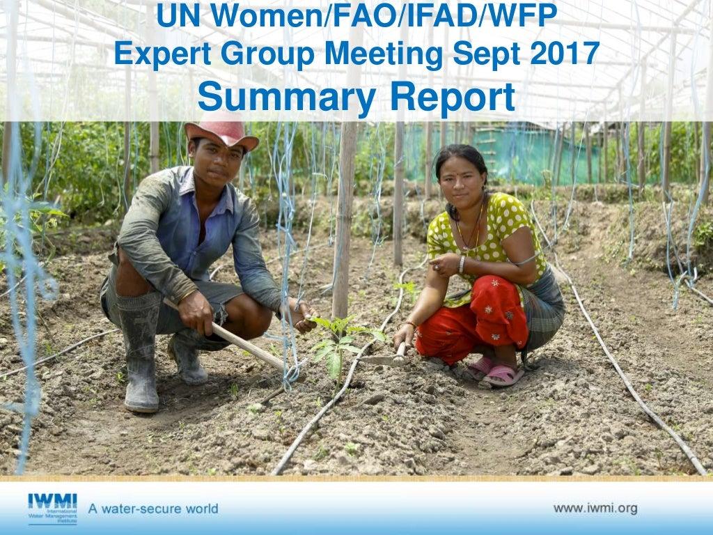UN Women/FAO/IFAD/WFP Expert group meeting (Sept. 2017) summary report