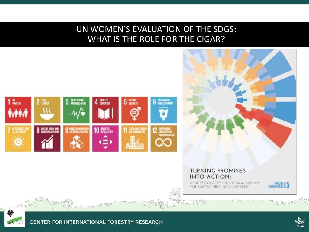 UN Women's evaluation of the SDGs: what is the role for the CGIAR?