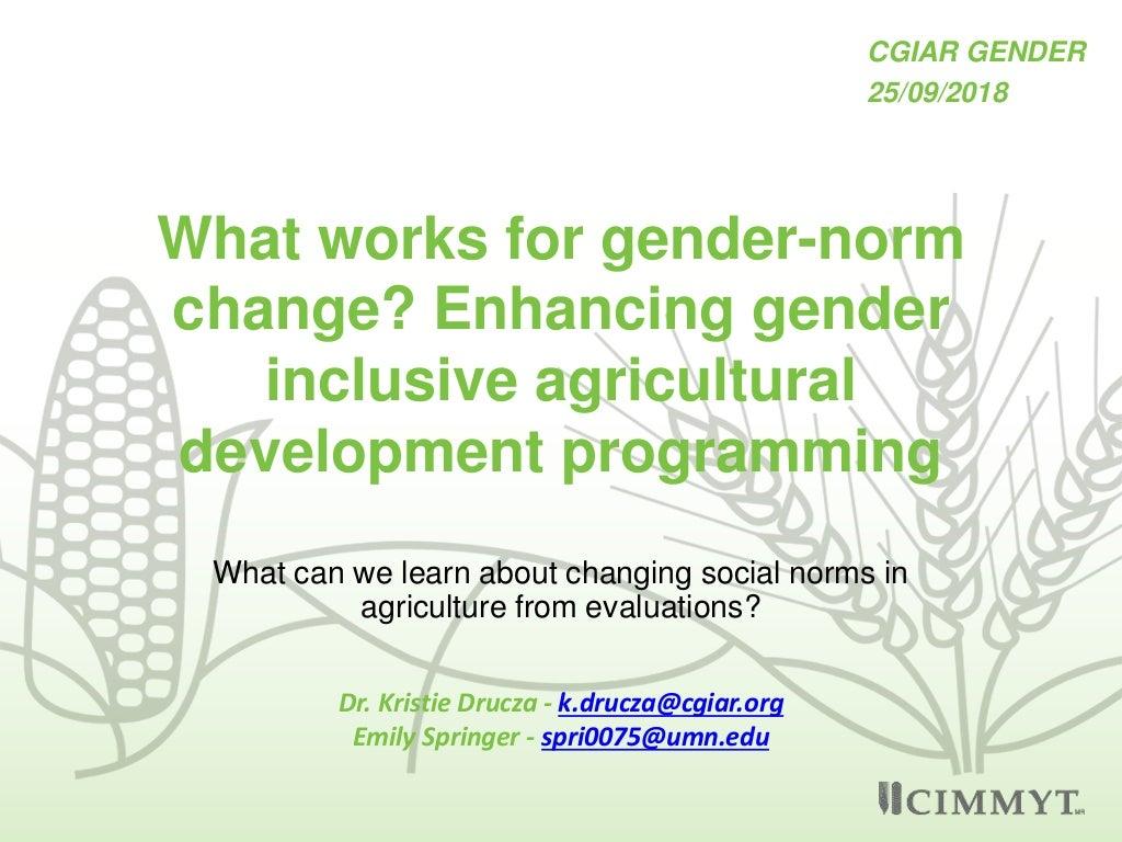 What works for gender norm change? Enhancing gender inclusive agricultural development programming