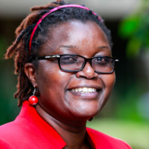 Jemimah Njuki, IFPRI