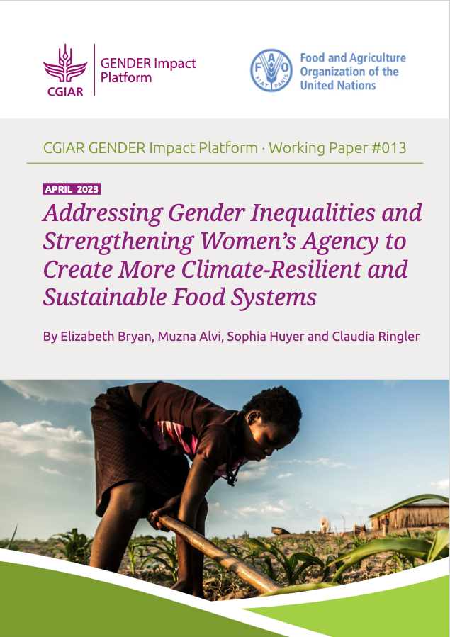 Home Page Cgiar Gender Impact Platform 8422