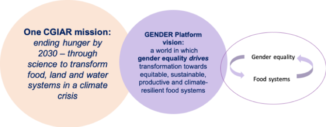 Our vision for a gender equal world 